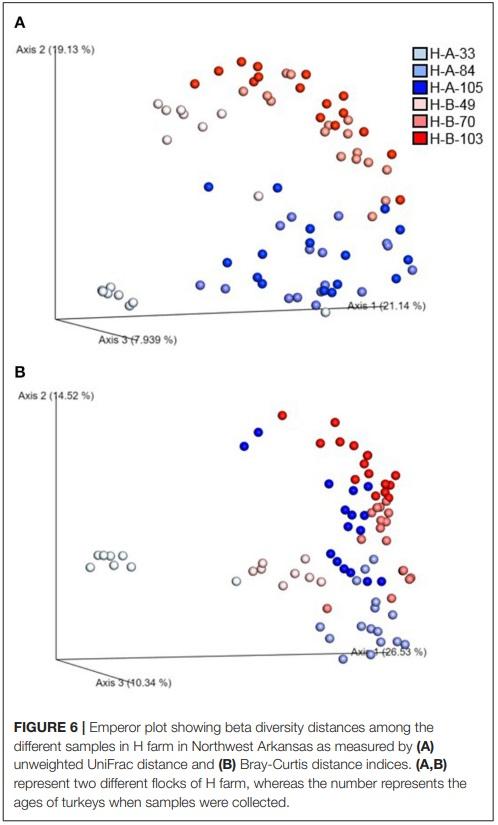 Comprehensive Survey of the Litter Bacterial Communities in Commercial Turkey Farms - Image 7