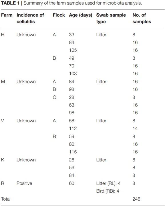 Comprehensive Survey of the Litter Bacterial Communities in Commercial Turkey Farms - Image 1