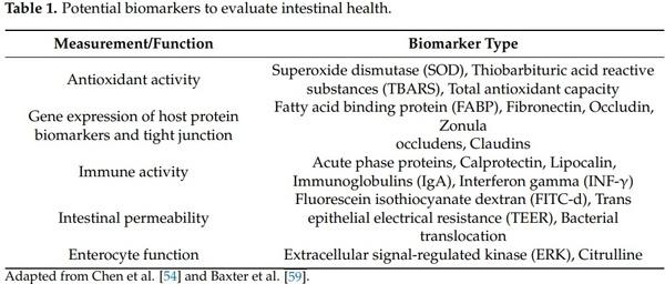 Probiotics, Prebiotics, and Phytogenic Substances for Optimizing Gut Health in Poultry - Image 4
