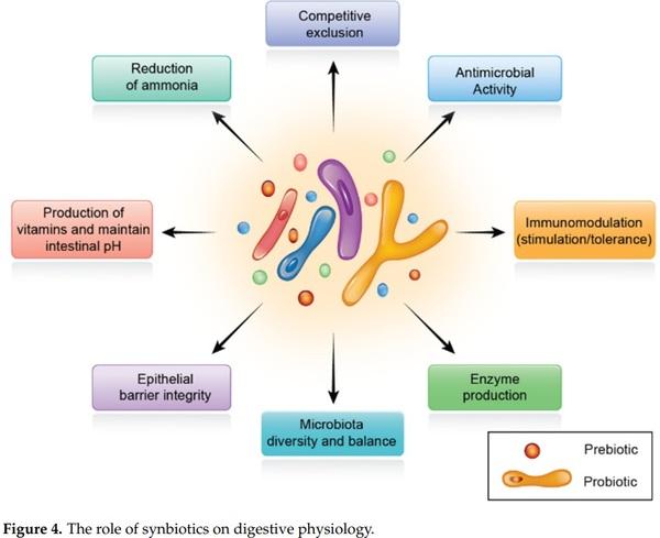 Probiotics, Prebiotics, and Phytogenic Substances for Optimizing Gut Health in Poultry - Image 5