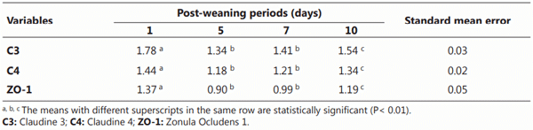 Table 3. Mean molecular expression levels of tight junction proteins in the jejunum of weaned pigs not consuming E. coli LPS, as postweaning days increase (effect of weaning).