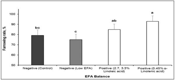 Role of Essential Fatty Acids in Transition Sow Diet - Image 2