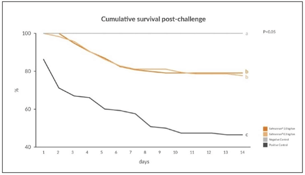 Figure 4. Effects of yeast postbiotic Safmannan® on the daily fish mortality after bacterial challenge with Streptococcus agalactiae using supplementation dosage of 0.5 and 1.0kg/ ton of feed. Source: Tran, Suyawanish and Tacon, 2018.