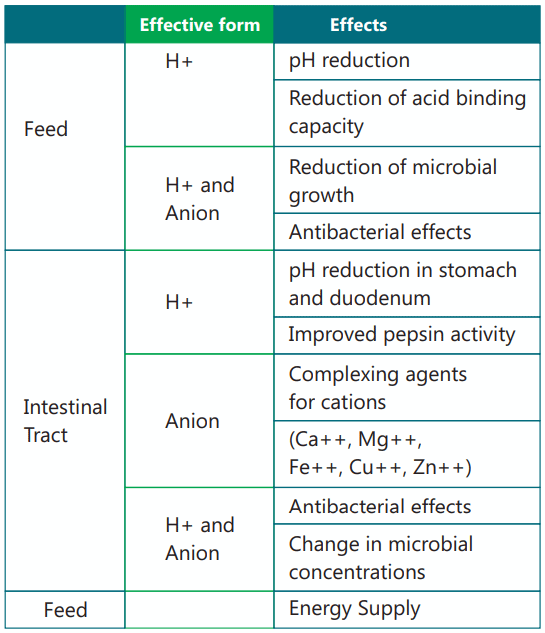 Table showing effects of organic acids and salts in poultry nutrition