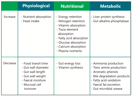 Summary of Physiological, Nutritional and Metabolic Effects of Antibiotic Growth Promoter