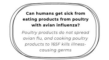 Avian Influenza - Image 6