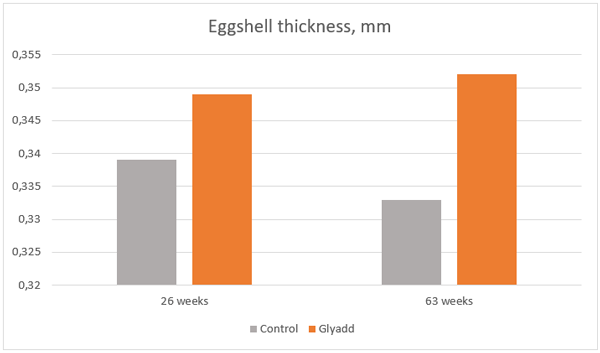 Figure 1 Effect of Glyadd inclusion in laying feed from 26 to 63 weeks of age on eggshell thickness