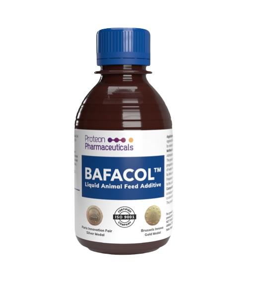 From a single plaque to an effective phage preparation preventing colibacillosis in poultry – the story of BAFACOL™. - Image 2
