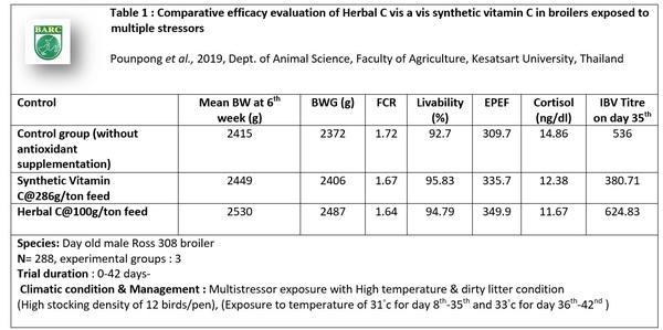 Reducing stress susceptibility in poultry with natural heat stable universal antioxidant and adaptogen ‘Herbal C’ - Image 3