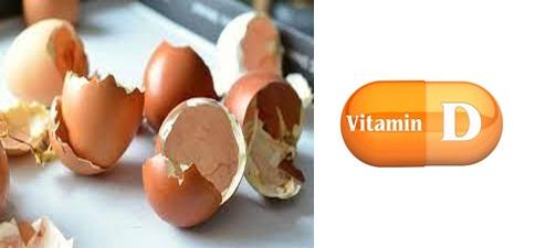 Botanical analogues of vitamin D for restoring Ca and P dynamics in egg laying birds exposed to heat stress - Image 1