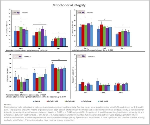 Effect of zinc on boar sperm liquid storage - Image 5