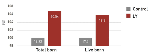 Figure 3. Both the number of total born piglets and the number of live born piglets were higher in the LY-group.