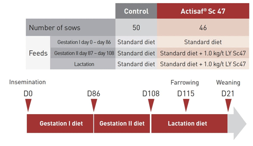 Figure 2. Sows were split in two groups receiving all the same commercial diets. Only the LY-group received probiotic yeast Sc47 during the second half of gestation and lactation.