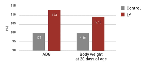 Figure 5.Piglets weight at 20 days was higher in the LY-group due to higher ADG from birth.
