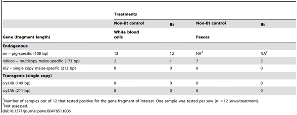 Table 6. Detection of endogenous maize and porcine gene fragments and transgene fragments in blood and faeces of sows fed non-Bt control or Bt maize-based diets during gestation and lactation1.