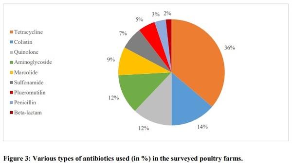 Poor biosafety and biosecurity practices and haphazard antibiotics usage in poultry farms in Nepal hindering antimicrobial stewardship - Image 3