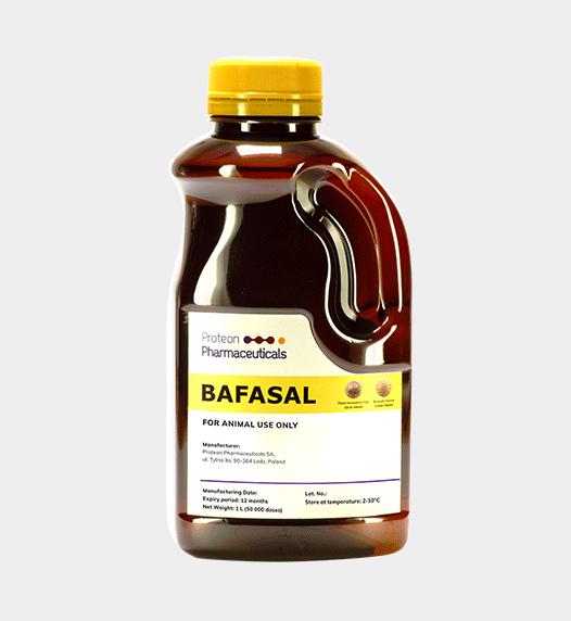 BAFASAL® helps control Salmonella on poultry farms