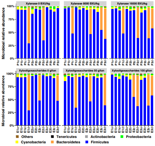 Fig. 2 Stacked bar graph displays a comparison of microbial relative abundance (%) at phylum level among main effects (xylanase and xylooligosaccharides) of treatments in broilers at d 42 post-hatch. The label P denotes xylooligosaccharides prebiotics, and the label E denotes xylanase enzyme for each sample. The letters (a, b, c, and d) denote replicate samples. P1: 0 g xylooligosaccharides per ton feed, P2: 50 g xylooligosaccharides per ton feed, P3: 100 g xylooligosaccharides per ton feed. E1: xylanase 0 BXU/kg or 0 g per ton feed, E2: xylanase 8,000 BXU/kg or 50 g per ton feed, E3: xylanase16,000 BXU/kg or 100 g per ton feed