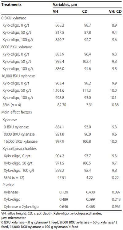 Table 4 Effects of supplemental xylanase and xylooligosaccharides on ileum histomorphology of broiler chickens on d 42 post-hatch