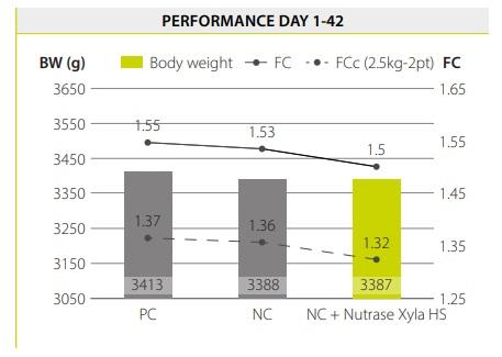 Saving feed cost by reformulating broiler diets with the use of Nutrase Xyla HS - Image 5