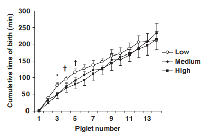 Figure 4 Kinetics of birth of the 14 first piglets born from sows producing a Low, Medium or High yield of colostrum. P-values are 0.02, 0.08 and 0.05 at piglet no. 3, 4 and 5, respectively