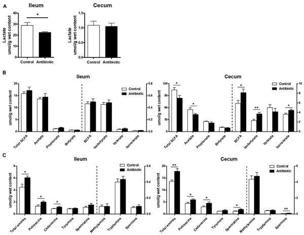 FIGURE 6 | Effect of early antibiotics exposure on the microbial metabolites in ileum and cecum content of piglets. (A) Lactate; (B) SCFAs; (C) Amines. The values are expressed as the means ± SEM, with eight piglets per group. Asterisks indicated statistically significant difference from control (Student’s t-test: ∗P < 0.05, ∗∗P < 0.01).