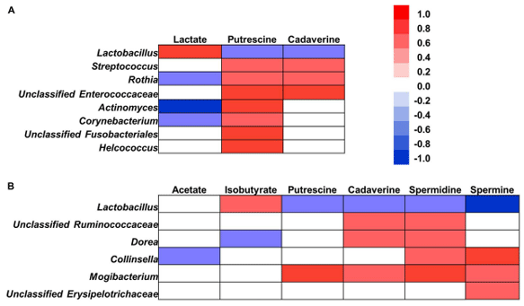 FIGURE 7 | Correlation analysis between the abundance of microbiota (at the genus level) and microbial metabolites in the ileum (A) and cecum (B). Correlation was considered significant when the absolute value of Pearson correlation coefficient was > 0.5 and statistically significant (P < 0.05). The red represents a significant positive correlation (P < 0.05), blue represents a significant negative correlation (P < 0.05), and white represents a non-significant correlation (P > 0.05).