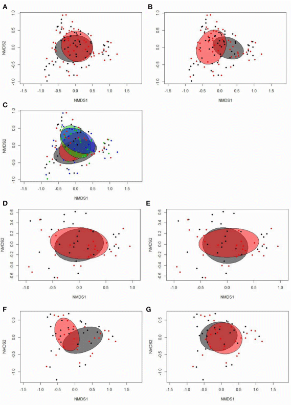 FIGURE 1 | Two-dimensional non-parametric multidimensional scaling (NMDS) ordination plots of (A) fecal samples of females (gray) and males (red; Bray-Curtis dissimilarity, P = 0.398); (B) fecal samples at 16 (gray) and 29 days (red) post-hatch (dph; Bray-Curtis dissimilarity, P = 0.001); (C) fecal samples separated by treatment groups across time points (blue, restrictively fed low RFI; green, restrictively fed high RFI; red, ad libitum low RFI; gray, ad libitum fed high RFI; Bray-Curtis dissimilarity, P = 0.153); (D) fecal samples from ad libitum (gray) and restrictively (red) fed chickens on 16 dph (Bray-Curtis dissimilarity, P = 0.841); (E) fecal samples from low (gray) and high RFI (red) chickens on 16 dph (Bray-Curtis dissimilarity, P = 0.260); (F) fecal samples from ad libitum (gray) and restrictively (red) fed chickens on 29 dph (Bray-Curtis dissimilarity, P = 0.001); (G) fecal samples from low (gray) and high RFI (red) chickens on 29 dph (Bray-Curtis dissimilarity, P = 0.283). Low RFI ad libitum, n = 7 per sex and time point; high RFI ad libitum, n = 8 females at 16 dph and n = 7 females at 29 dph, and n = 7 males per time point; low RFI restrictive, n = 6 females at 16 dph and n = 7 females at 29 dph, and n = 7 males per time point; high RFI restrictive, n = 7 per sex and time point.