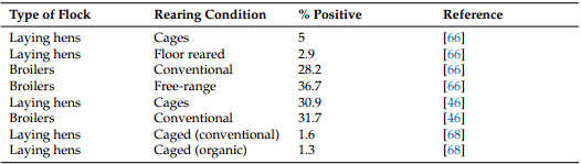 Listeria Occurrence in Conventional and Alternative Egg Production Systems - Image 1