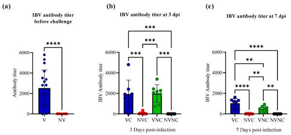Impact of Maternal Antibodies on Infectious Bronchitis Virus (IBV) Infection in Primary and Secondary Lymphoid Organs of Chickens - Image 3