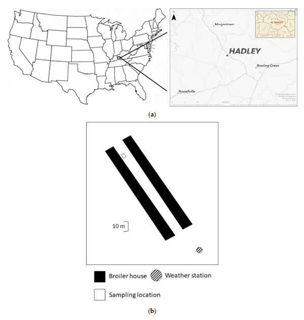 Figure 1. (a) Location of the Sugar Grove community in relation to Bowling Green, Kentucky, and the United States; (b) Layout of broiler houses at the farm.