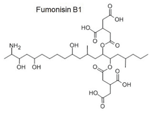 FIGURE 3 | Molecular structure of fumonisin B1.