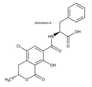 FIGURE 4 | Molecular structure of ochratoxin A.