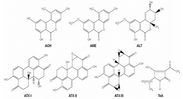 FIGURE 2 | Molecular structures of several Alternaria mycotoxins: alternariol (AOH), alternariol monomethyl ether (AME), altenuene (ALT); the perylene derivatives altertoxins (ATX-I, -II, -III); and the tetramic acid derivatives, tenuazonic acid (TeA).