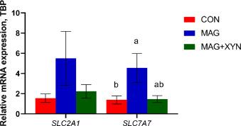 Effects of microalgae, with or without xylanase supplementation, on growth performance, organs development, and gut health parameters of broiler chickens - Image 16