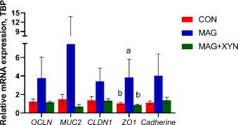 Effects of microalgae, with or without xylanase supplementation, on growth performance, organs development, and gut health parameters of broiler chickens - Image 13