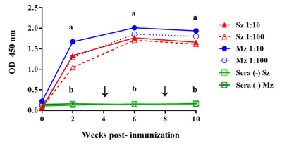FIGURE 1 | Comparison of the time course of the antibody response to sporozoite (Sz) and merozoite (Mz) antigens in pullets immunized with E. tenella by gavage. Sera dilutions of 1:10 (continuous line) and 1:100 (dotted line) are shown. The arrows indicate the boost immunizations at intervals of 4 weeks. Sera from unimmunized pullets (–) did not show any reactivity with the Sz and Mz antigens. At each time point, the arithmetic means ± standard deviations of the absorbance units (O.D.) of sera collected from six birds are shown. The line plots denoted as a are significantly different (P < 0.05, according to Tukey’s multiple range test) from those denoted as b.