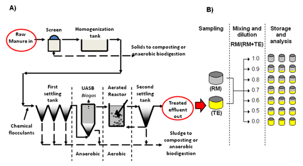 Figure 1 – A) Swine manure treatment system (SMTS) scheme, and B) Experimental design.