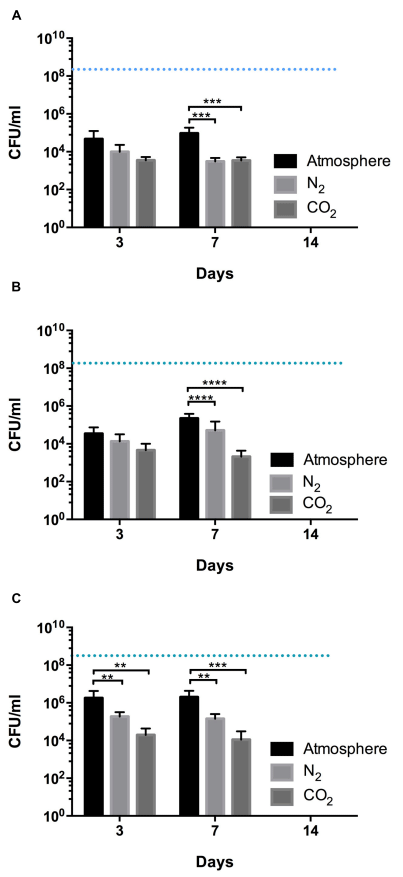 FIGURE 3 | Survival of aerosensitive (A), aerotolerant (B), and HAT (C) strains of C. jejuni in MH broth under different gas conditions. Incubation was carried out in atmospheric, N2, and CO2 conditions. Two strains from each aerotolerance group were randomly selected, and each strain was inoculated in MH broth in triplicate. The initial CFU was adjusted to be approximately 108 CFU/ml for all the samples and is indicated with blue dashed lines. The results show the mean and standard deviation of the triplicate samples of two different strains in a single experiment. The experiment was repeated three times, and similar results were obtained in the three independent experiments. Two-way ANOVA testing was carried out for statistical analysis. ∗∗P ≤ 0.01, ∗∗∗P ≤ 0.001, ∗∗∗∗P ≤ 0.0001.