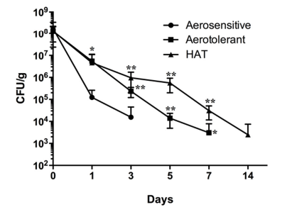 FIGURE 1 | Survival of aerosensitive, aerotolerant, and HAT C. jejuni strains in poultry meat at 4◦C under aerobic conditions. Two C. jejuni strains were randomly selected from each aerotolerance group and used to spike raw poultry meat in duplicate. The results indicate the means and standard deviations of duplicate samples of the two different strains in a single experiment. Three independent experiments were performed, and similar results were obtained in all the experiments. The statistical analysis was performed with two-way ANOVA in comparison with aerosensitive strains. ∗P ≤ 0.05, ∗∗P ≤ 0.01.