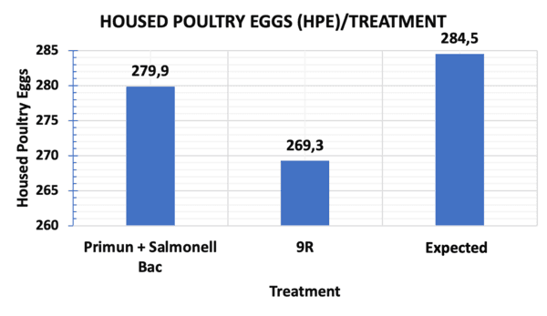 Fowl typhoid and how to control it: a costly reality for poultry farmers - Image 4