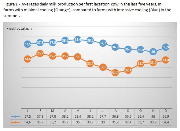 How much milk adds intensive cooling in the summer to the annual yield of young and mature cows - Image 1