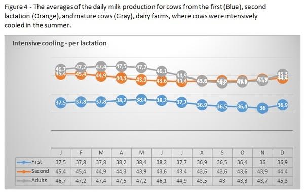 How much milk adds intensive cooling in the summer to the annual yield of young and mature cows - Image 4