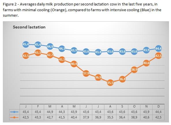 How much milk adds intensive cooling in the summer to the annual yield of young and mature cows - Image 2