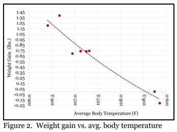 Weight Gain Vs. Body Temperature - Image 3