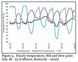 The Importance of Monitoring Dew Point During Hot Weather - Image 4