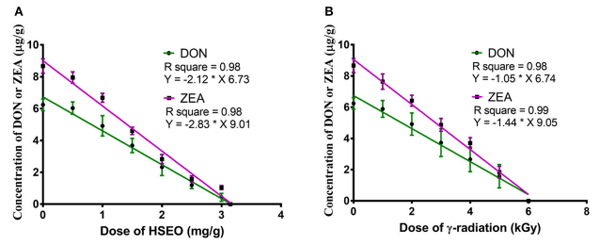 FIGURE 2 | Linear regression curve for dose-dependent effect of (A) H. spicatum L. essential oil (HSEO) and (B) radiation treatments on the reductions of deoxynivalenol (DON) and zearalenone (ZEA) content by F. graminearum in maize. The data was analyzed by one-way ANOVA following Tukey’s test and value of p < 0.05 was considered significant.