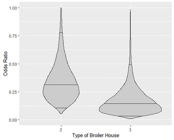FIGURE 4 | Violin plots showing the posterior density of the estimated Odds Ratio relationship between types of broiler house 2 and 3 with respect to type1 and probability of isolating Salmonella spp. from litter. Horizontal lines inside plots represent posterior medians and 95% credible intervals.