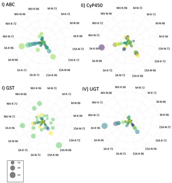 FIGURE 4 | Gene expression for gene families associated with resistance to deoxynivalenol (DON) expressed in transcripts per million (TPM). Genes are identified by color, and circle size corresponds to TPM. (I) ABC, ATP-binding cassette transporter (n = 24 genes); (II) CyP450, cytochrome P450 superfamily protein (n = 42 genes); (III) GST, glutathione S-transferase (16 genes); (IV) UGT, UDP-Glycosyltransferase superfamily proteins (36 genes). M, mock control; 3ADON, 3-acetyldeoxynivalenol; 15ADON, 15-acetyldeoxynivalenol; NIV, nivalenol. 72-and 96-h post-infection.