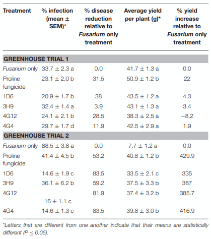 TABLE 2 | Suppression of Gibberella Ear Rot by the candidate endophytes in two replicate greenhouse trials.
